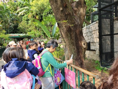 N班參觀動植物公園